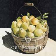 Sound Remedy -Folklove-Mixed By Kenichiro Nishihara