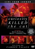 Curiosity Killed The Cat/Live From London