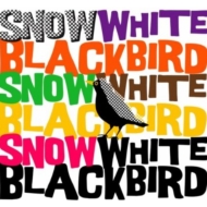 Snow White Blackbird
