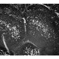 observation about air