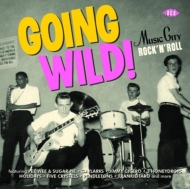Various/Going Wild! Music City Rock'n'roll