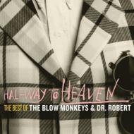 Halfway To Heaven: The Best Of The Blow Monkeys & Dr Robert