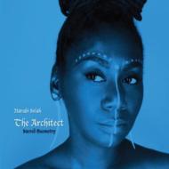 Architect: Sacred Geometry