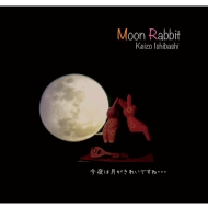 жɻ/Moon Rabbit