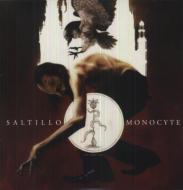 Saltillo/Monocyte The Lapis Coil