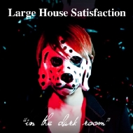Large House Satisfaction/In The Dark Room