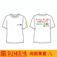 ����t�V���c ���c䝉�(�z���C�g)[L]