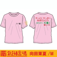 ����t�V���c ���c䝉�(�s���N)[M]