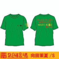 ����t�V���c ���c䝉�(�O���[��)[S]