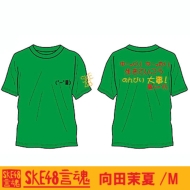 ����t�V���c ���c䝉�(�O���[��)[M]