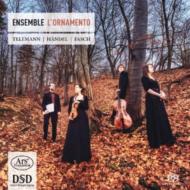 Baroque Classical/L'ornamento： Handel Telemann Fasch (Hyb)