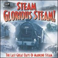 Various/Steam Glorious Steam!