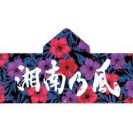 �t�[�h�t���Ó�T���^�I�� / ���l�X�^�W�A���O�b�Y[Lh��s]