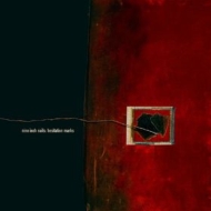 Hesitation Marks: Deluxe Edition (2CD)