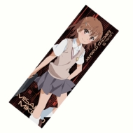 �Ƃ���Ȋw�̒��d���Cs �X�|�[�c�^�I��(������)