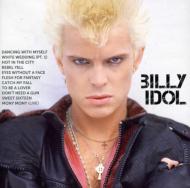 Icon : Billy Idol | HMV&BOOKS online - B001862302