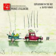 Explosions In The Sky / David Wingo/Prince Avalanche