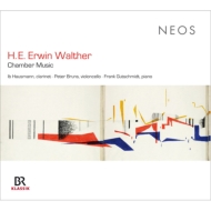 륿ȡš1920-1995/Chamber Music Hausmann(Cl) Bruns(Vc) Gutschmidt(P)