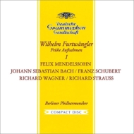 Furtwangler / Berlin Philharmonic : Early Recordings 1