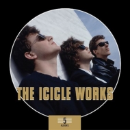 Icicle Works/5 Albums