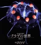 �N���Q�̐��E 2014�N�J�����_�[