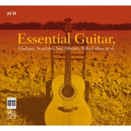*˥Х*/Essential Guitar