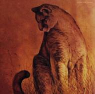 Popped In The Head All The Time Now