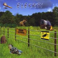 Elekriti