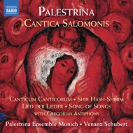 パレストリーナ（c.1525-1594）/Cantica Salomonis： V. schubert / Palestrina Ensemble Munich Etc