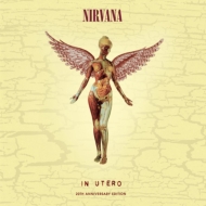 Nirvana『In Utero』20周年記念デラックス・ヴァージョン｜HMV&BOOKS 