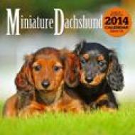 �~�j�`���A�E�_�b�N�X�t���g 2014�N�ő唻�J�����_�[ �Ǌ|�^�C�v