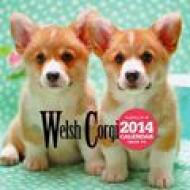 �E�F���V���E�R�[�M 2014�N�ő唻�J�����_�[ �Ǌ|�^�C�v