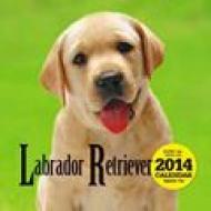 ���u���h�[���E���g���[�o�[ 2014�N�ő唻�J�����_�[ �Ǌ|�^�C�v