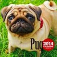 �p�O 2014�N�ő唻�J�����_�[ �Ǌ|�^�C�v