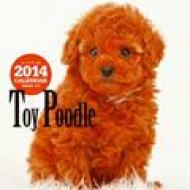 �g�[�C�E�v�[�h�� 2014�N�ő唻�J�����_�[ �Ǌ|�^�C�v