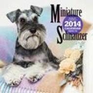 �~�j�`���A�E�V���i�E�c�A�[ 2014�N�ő唻�J�����_�[ �Ǌ|�^�C�v