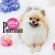 �|�����j�A�� 2014�N�ő唻�J�����_�[ �Ǌ|�^�C�v