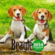 �r�[�O�� 2014�N�ő唻�J�����_�[ �Ǌ|�^�C�v