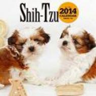 �V�[�E�Y�[ 2014�N�ő唻�J�����_�[ �Ǌ|�^�C�v