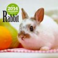 �E�T�M 2014�N�ő唻�J�����_�[ �Ǌ|�^�C�v