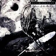 Secrets Of The Beehive