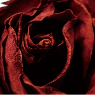 Cuz Me Pain Compilation #3