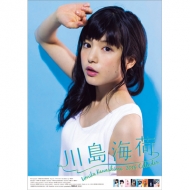 �쓇�C�� / 2014�N�J�����_�[