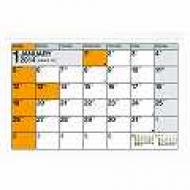 C113 Nolty�J�����_�[�Ǌ|�� 9 2014