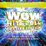 Various/Wow Hits 2014 (Dled)