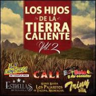 Various/Hijos De La Tierra Caliente 2