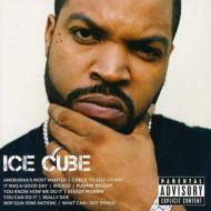 CDアルバム｜Ice Cube (アイスキューブ)｜商品一覧｜HMV&BOOKS