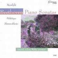 ١ȡ1770-1827/Piano Sonata 8 14 29 David Allen Wehr