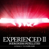 ExperiencedII-embrace Tour 2013 -
