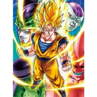 �h���S���{�[��z / 2014�N�J�����_�[